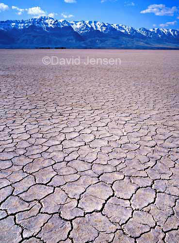 alvord desert