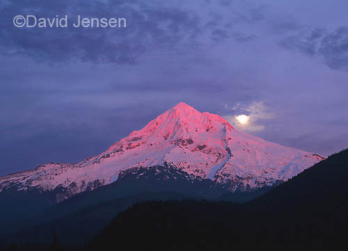 sunset on Mt. Hood with moon 