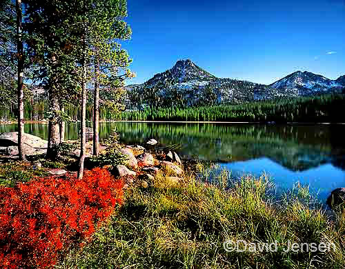 autumn at anthony