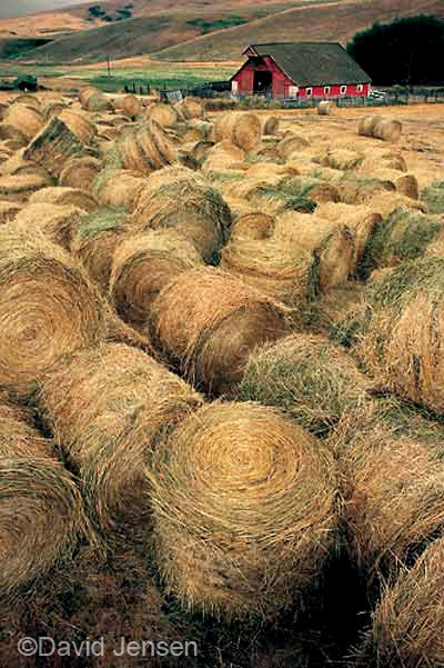 bales