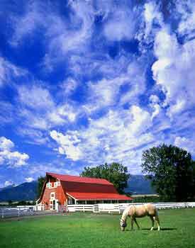 horse and barn