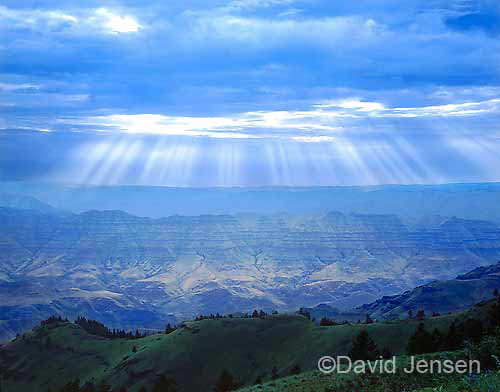 sunbeams from buckhorn springs