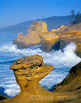 cape kiwanda