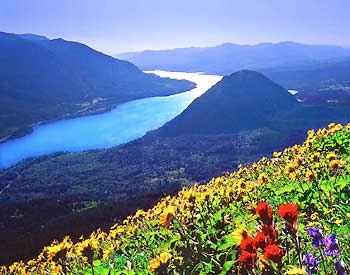 columbia river from dog mountain