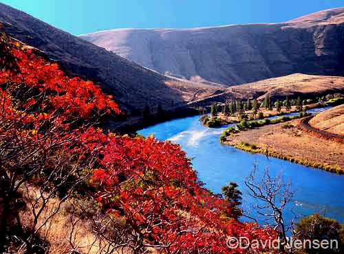 deschutes river and sumac