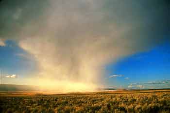 downpour, malheur nwr