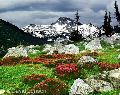 heather and eagle cap