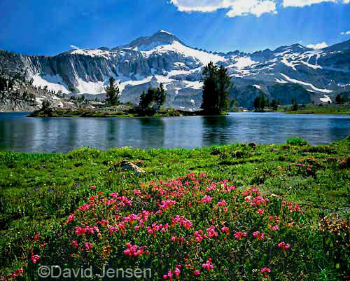 heather and glacier lake