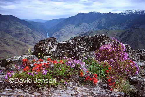 hells canyon rock garden