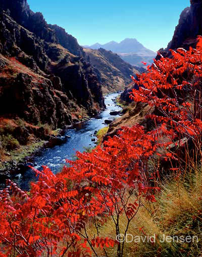 sumac and imnaha river