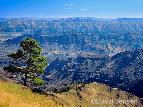 imnaha canyon country