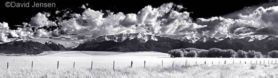 green fields in the wallowa valley