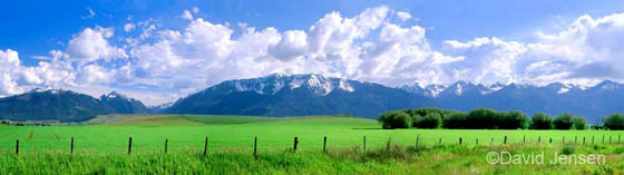 green fields and the wallowa valley