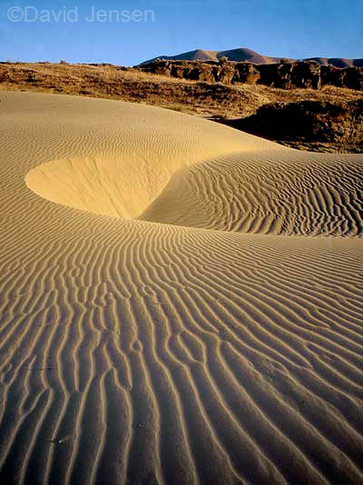 dunes in columbia river gorge nsa