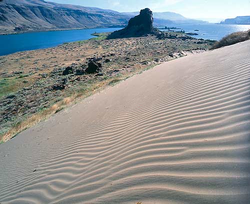 sand dunes along the columbia river