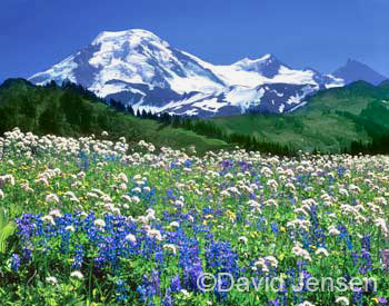 mt baker