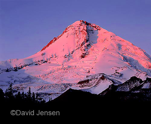 eliot glacier alpenglow