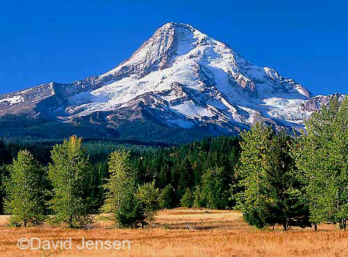 mt hood north face