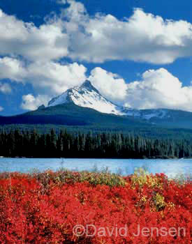 big lake, mt washington