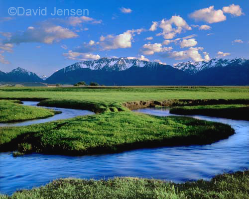 prairie meanders 