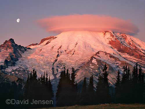 lenticular cap