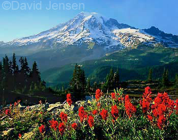 tatoosh gardens