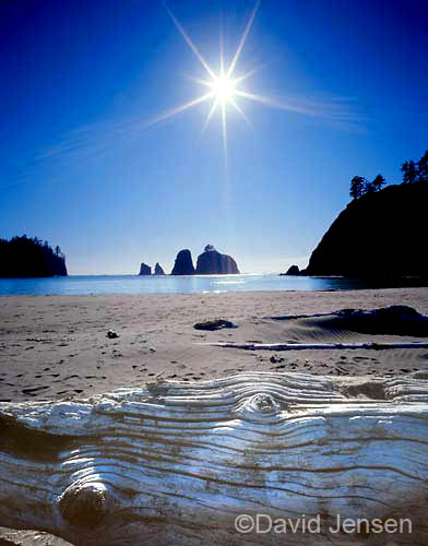 rialto beach