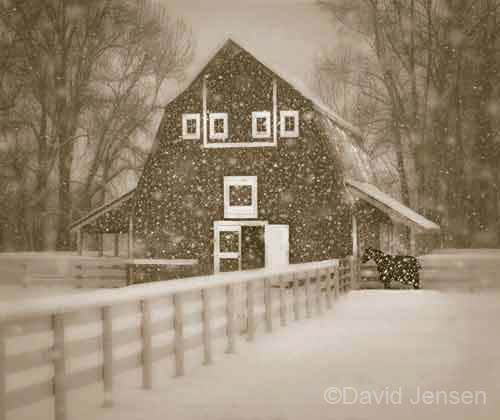 winter on hurricane creek