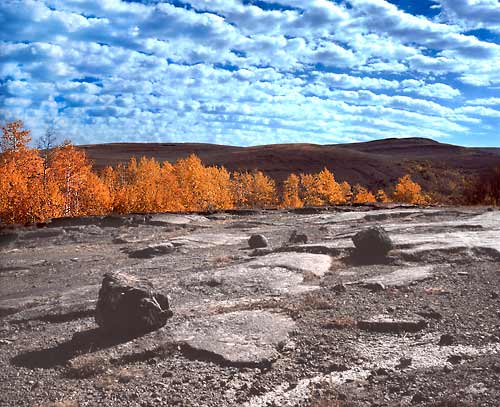 glacier polish and erratic boulders