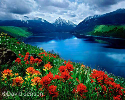 paintbrush and wallowa lake