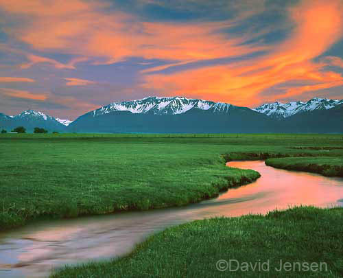 wallowa range